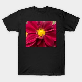 Dimensional Red Radiance of the Dahlia T-Shirt